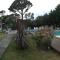 Hotel Solyma