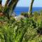 THE ADDRESS CASSIS