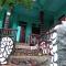 Breeze Hostel