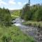 The Wilds at Salmonier River