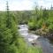 The Wilds at Salmonier River