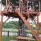 Apartments Eco Forest Resort