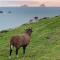 Skellig Port Accomodation - 2 Bed Apartment - 波特马吉