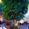 Estrella de Belem B&B and Spa
