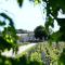 Wine Estate with Private Pool, Near River, Saint-Émilion - Libourne