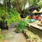 Wayanad Royal Stream