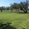 Ronda Barbiguera, 1 Aldea Golf apt 3210 - San Jorge