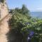 All about view Agios Ioannis Papa Nero - Agios Ioannis