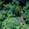 Yatama Rainforest Ecolodge