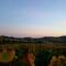 La Cadole de Chardonnay