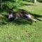 Crystal Springs Holiday Accommodation