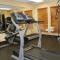 Best Western Plus The Woodlands