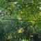 Nature Home