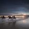 Lodge MP626 - Camber Coast Holidays Ltd