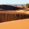 Desert Bivouac Mhamid