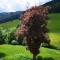 Haus Elsasser - Sankt Johann am Tauern Haus Elsasser - Sankt Johann am Tauern