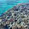 Domina Coral Bay Pool & Sea View private apartment - Sharm el Sheikh