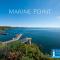 Marine Point, Mevagissey - sensational cliff top views of harbour and bay - Mevagissey