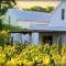 The Vineyard Country House - Montagu