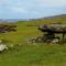 Cottage 323 - Cleggan