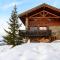 Chalet Ananas, Hameau des Marmottes - Les Menuires