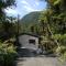 Forest View Franz Josef - 弗朗兹约瑟夫