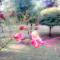 Malika Homestay