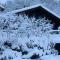 Chamonix Chalets
