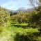 Finca Cas Sant