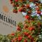 hotel Chmelnice