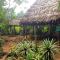 Foto: Omshanty Jungle Lodge 188/193