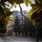 Nest Style Granada