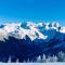 Gosau Apartment 006