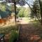 Tudor Lodge with pool & BBQ cabin