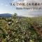 Shinshu Yokoya Farm - Macumoto