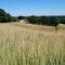 Domaine Sainte Barthe, entre Marciac et Nogaro - Aignan