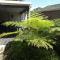 The Crescent Guesthouses - BnB/Self Catering