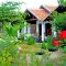 Eco Aloevera Garden