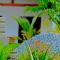 Eco Aloevera Garden