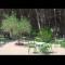 Hotel Pishat e Buta