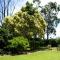 Fairlawn Estate