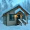 Talkeetna Mount Dall Cottage with WiFi&laundry