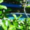Residence Domaso