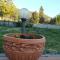 Appartamento Sezzate 40