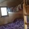 Brynllwyd Glamping