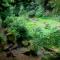 Carnegie Holiday Cottage - Dunfermline
