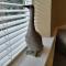Duck Cottage
