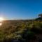 Elephant Hide of Knysna Guest Lodge - Knysna