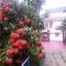 Mount Spring Valley Homestay