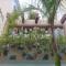 Palmas de Chahue
